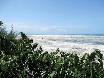 Zanzibar Rock Resort Pongwe Ngoại thất bức ảnh