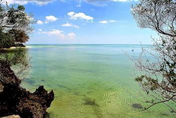 Zanzibar Rock Resort Pongwe Ngoại thất bức ảnh