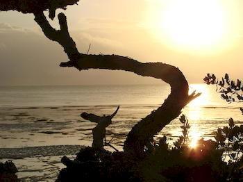 Zanzibar Rock Resort Pongwe Ngoại thất bức ảnh