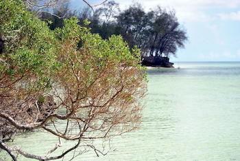 Zanzibar Rock Resort Pongwe Ngoại thất bức ảnh